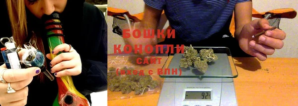 индика Беломорск