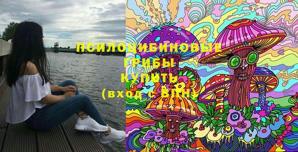 индика Беломорск