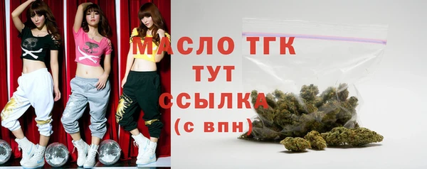 индика Беломорск