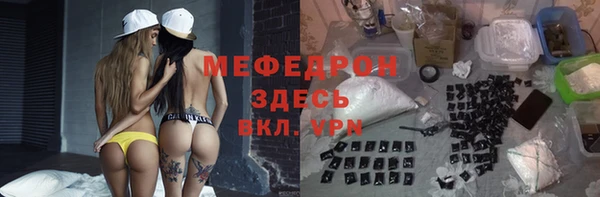 индика Беломорск