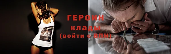 индика Беломорск