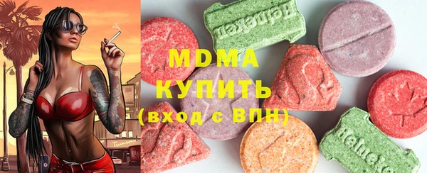 индика Беломорск