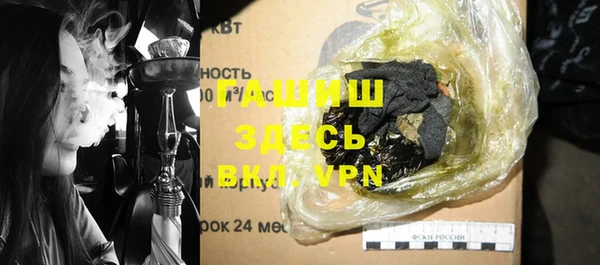 индика Беломорск