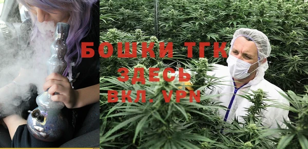 индика Беломорск