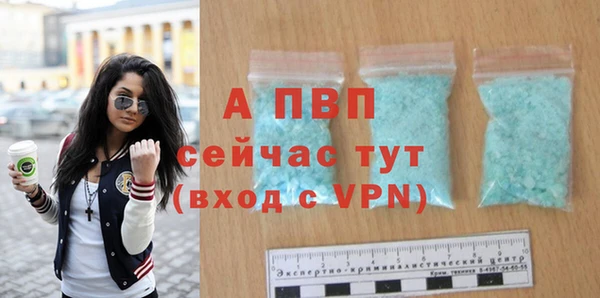 индика Беломорск