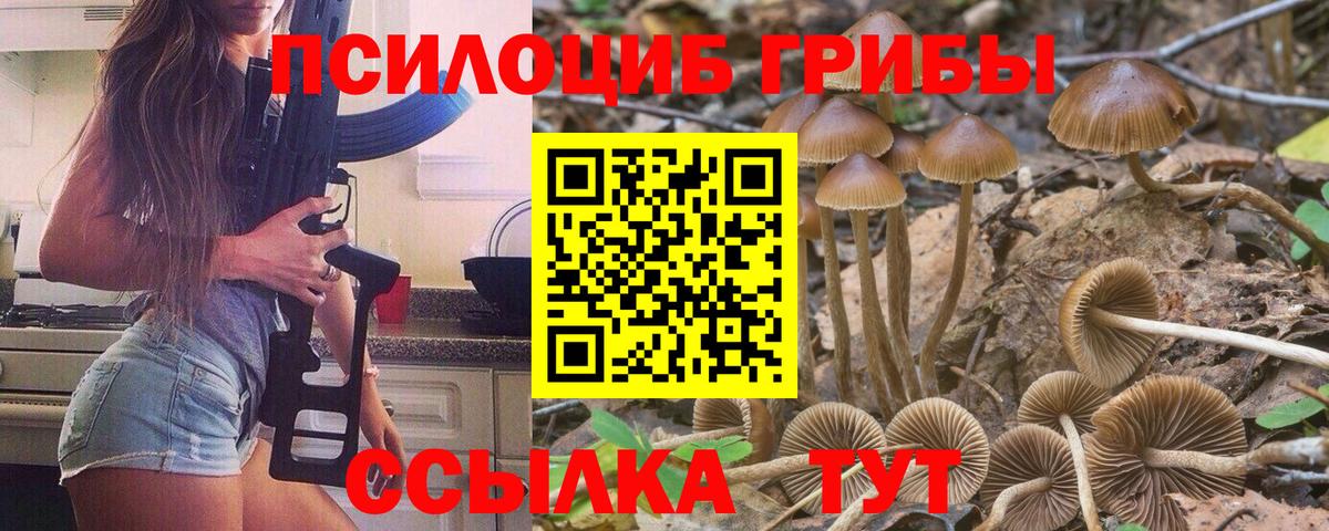 Сорочинск  Галлюциногенные грибы GOLDEN TEACHER  Вход с VPN 