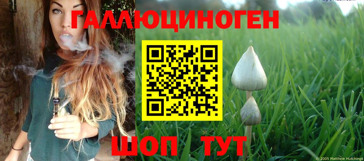 Псилоцибиновые грибы GOLDEN TEACHER  Сорочинск 