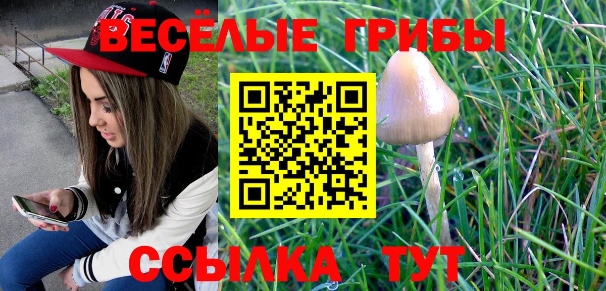 Галлюциногенные грибы прущие грибы Сорочинск