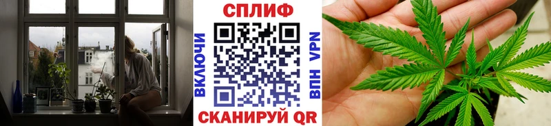 Купить  Сорочинск  Канабис Bruce Banner 